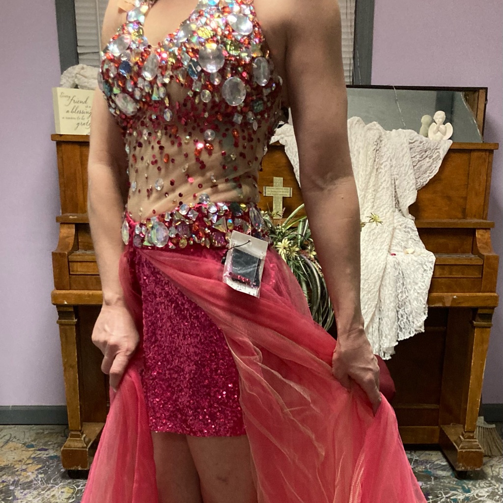 Nwt Prom Dress Size 0
